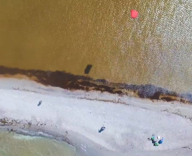 Ćwiczenia z latawcem na lądzie. Podstawy szkolenia kite